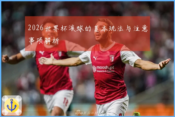 2026世界杯滚球的基本玩法与注意事项解析