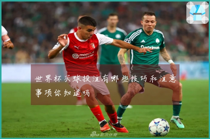 世界杯买球投注有哪些技巧和注意事项你知道吗