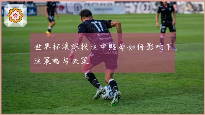 世界杯滚球投注中赔率如何影响下注策略与决策