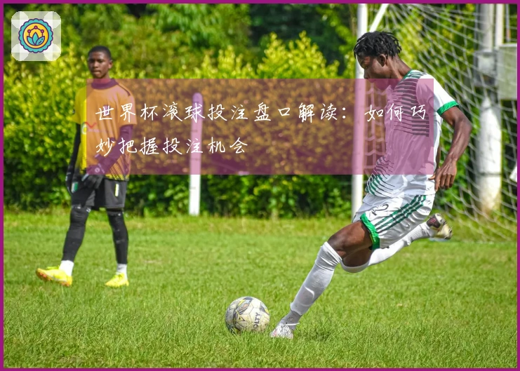 世界杯滚球投注盘口解读：如何巧妙把握投注机会